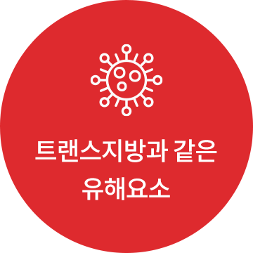 트랜스지방과 같은